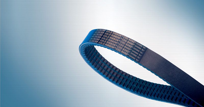 Image showing Gold-Ribbon® Cog-Band®ed Belts by Carlisle Belts
