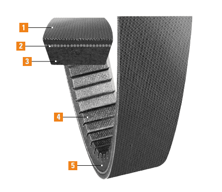 Variable Speed Cog Belt Features