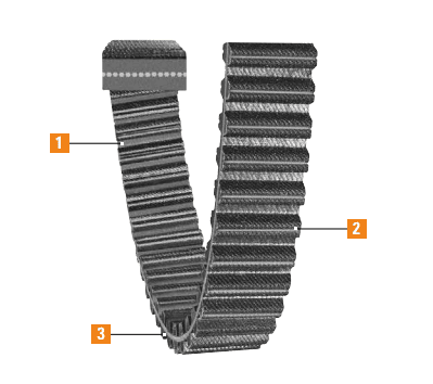 Dual Synchronous Belts Features